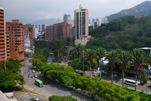 ‘Cali, Capital Mundial de la Biodiversidad’: así se llama el video que lanza el Dagma para la COP16 