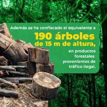 Rompe la cadena: di “no” al tráfico ilegal de flora y fauna