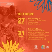 Actividades deportivas en el marco de la Cop16 2