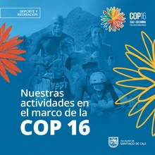 Actividades deportivas en el marco de la Cop16 Cali 2024