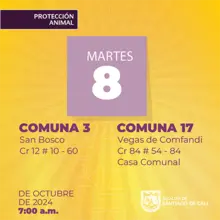 Jornada esterilización 