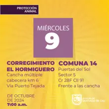 Jornada esterilización 