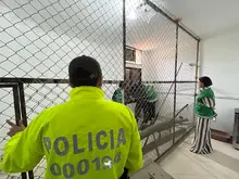 Dagma recuperó un tigrillo que se encontraba cautivo en un conjunto  residencial al sur de Cali