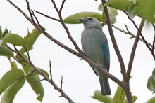 Estudiantes de colegios públicos y privados pueden participar del concurso  de fotografía ‘La Escuela: Captura la Biodiversidad’