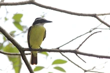Estudiantes de colegios públicos y privados pueden participar del concurso  de fotografía ‘La Escuela: Captura la Biodiversidad’