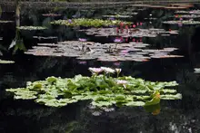 Estudiantes de colegios públicos y privados pueden participar del concurso  de fotografía ‘La Escuela: Captura la Biodiversidad’