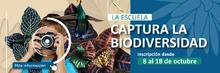Concurso de fotografía