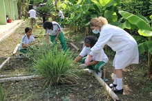 “La huerta es un territorio de paz: un espacio donde se aprende para la vida”: docente de la Institución Educativa Siete de Agosto