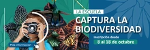 Concurso de fotografía
