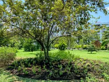 Dagma conmemoró el ‘Día Internacional del Árbol’ en el bosque urbano de La Hacienda