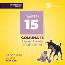Jornada de esterilización del 15 de octubre 