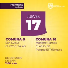 Jornada de esterilización del 17 de octubre 
