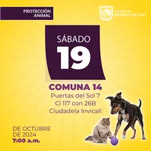 Jornada de esterilización del 19 de octubre 