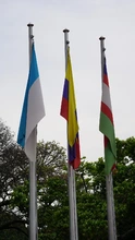 Cali recibe la COP16 ondeando banderas en la ciudad