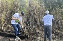  Más de 40 toneladas de residuos mixtos se recolectaron en la vía que conecta a Siloé con el corregimiento de Los Andes