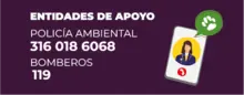 Entidad de apoyo