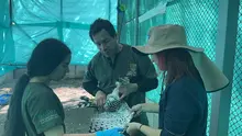 Tras dos meses de recuperación, el águila coronada herida con perdigones logró rehabilitarse en el Hogar de Paso del Dagma y será liberada