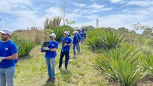 Nuevas siembras en Cristo Rey hacen parte del alistamiento de la obra
