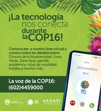 ¡Pregúntale a la Voz de la COP16!