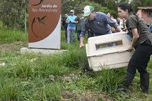 El águila ‘Kali’ retornó a su hábitat natural en la ‘sucursal del cielo’
