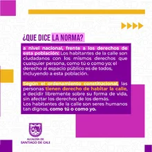 Marco normativo