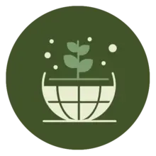 Icono5