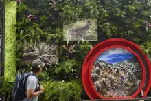 Una Cali cívica y biodiversa hace presencia multitudinaria en la ‘Zona Verde’ de la COP16