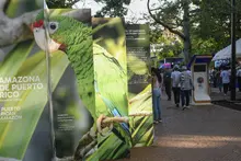 Una Cali cívica y biodiversa hace presencia multitudinaria en la ‘Zona Verde’ de la COP16