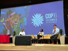 ¡A correr para salvar el planeta! Eventos deportivos sostenibles y su impacto ambiental en la Agenda Académica COP16