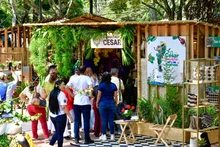 Alcaldía de Cali implementa prácticas de sostenibilidad con enfoque  ambiental en sus procesos de contratación
