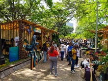 Alcaldía de Cali implementa prácticas de sostenibilidad con enfoque  ambiental en sus procesos de contratación