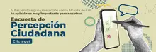 Encuesta de percepción 