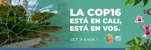 La COP está en Cali, está en vos