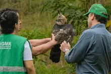 Delio Orjuela, un guardián de la biodiversidad en Cali