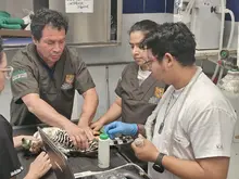 Delio Orjuela, un guardián de la biodiversidad en Cali