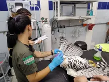 Delio Orjuela, un guardián de la biodiversidad en Cali