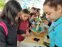 Más de 3500 estudiantes de colegios oficiales y privados de Cali participaron en la segunda jornada de la Ciudadela Educativa