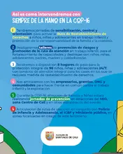 A los niños, niñas y adolescentes hay que llevarlos ‘Siempre de la mano’: la campaña de la Alcaldía de Cali para prevenir las vulneraciones de derechos