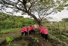Cali se conecta con el río Cauca: nueva ruta turística en el jarillón