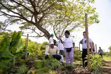 Cali se conecta con el río Cauca: nueva ruta turística en el jarillón