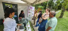 En 2024 ‘Caliorquídeas’ llega a su versión 48: referente caleño en  conservación de la biodiversidad