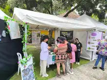En 2024 ‘Caliorquídeas’ llega a su versión 48: referente caleño en  conservación de la biodiversidad