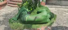 Ciudades sostenibles y biodiversas para un mejor ambiente