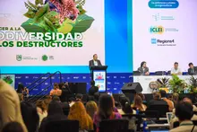Alcalde de Cali pide crear durante la COP16 la ‘Coalición de ciudades contra las economías criminales que afectan la biodiversidad’