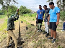 Durante la COP, se sembraron árboles y se recuperaron zonas verdes en Cali