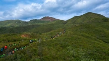 Se corrió la 4.2K Farallones Trail Run en Cali, la gran fiesta del atletismo en el marco de la COP16