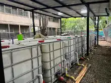  La Institución Educativa INEM tiene la planta de compostaje más grande de Cali: un referente en aprovechamiento de residuos 