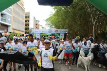 Más de 300 caleños le apostaron al deporte y al medio ambiente en el  ‘Plogging: Corriendo por un Mundo de Bienestar’