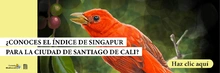 Banner_biodiversidad
