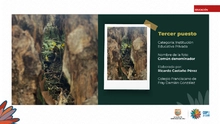 Fueron premiados los talentos estudiantiles que fotografiaron la  biodiversidad de Cali